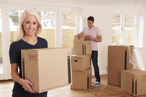 Secure Sweden Removals payment page with protected card and online payment options
