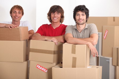 Professional removal van service in Sweden with packed boxes