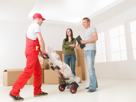Documentation and inventory notes used in a removals complaint review