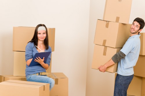 Inclusive Sweden Removals webpage with clear navigation and readable content